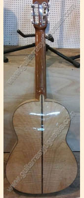 Guitarra de Maple Brillante 3